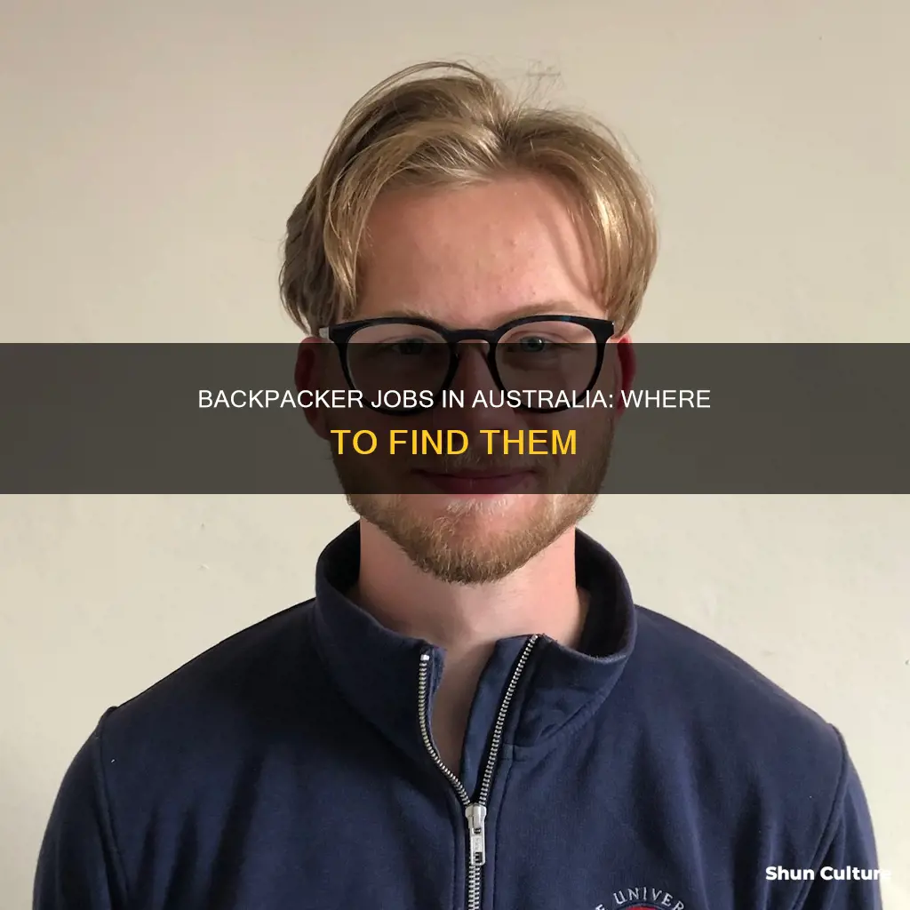 how to find backpacker jobs in australia