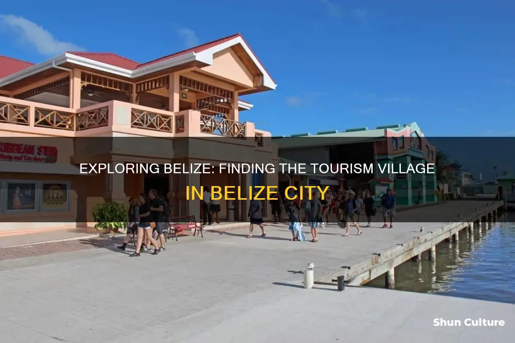 how to find belize city tourism village