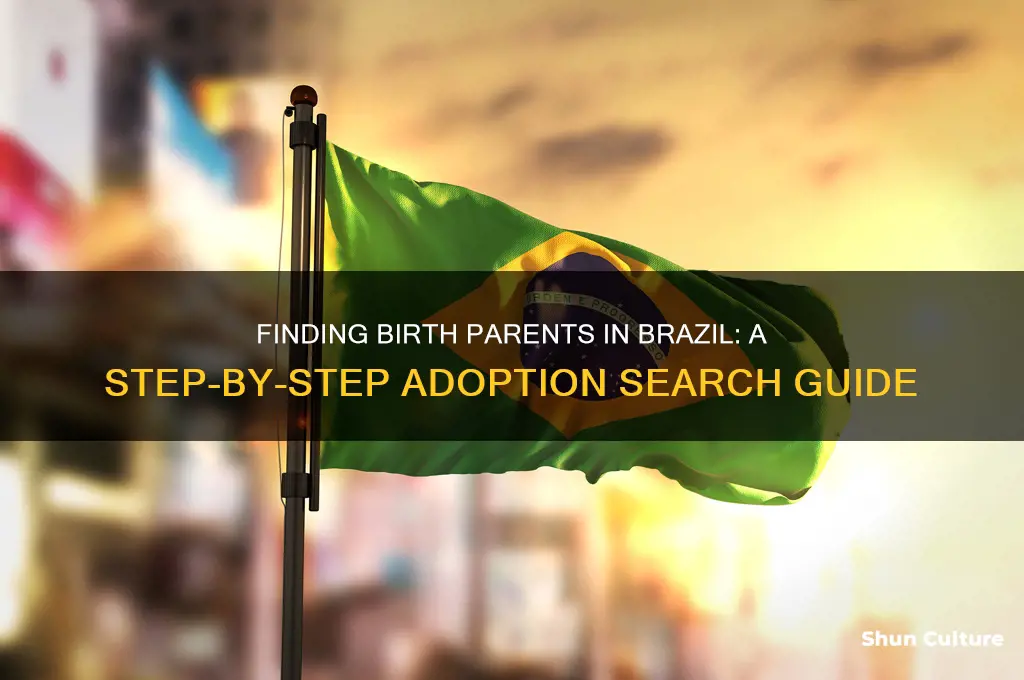 how to find birth parents in brazil
