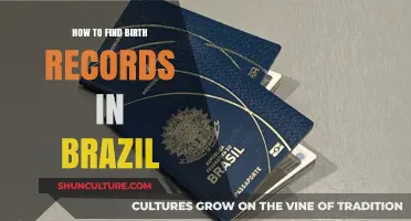 Finding Brazilian Birth Records: A Step-by-Step Guide for Researchers