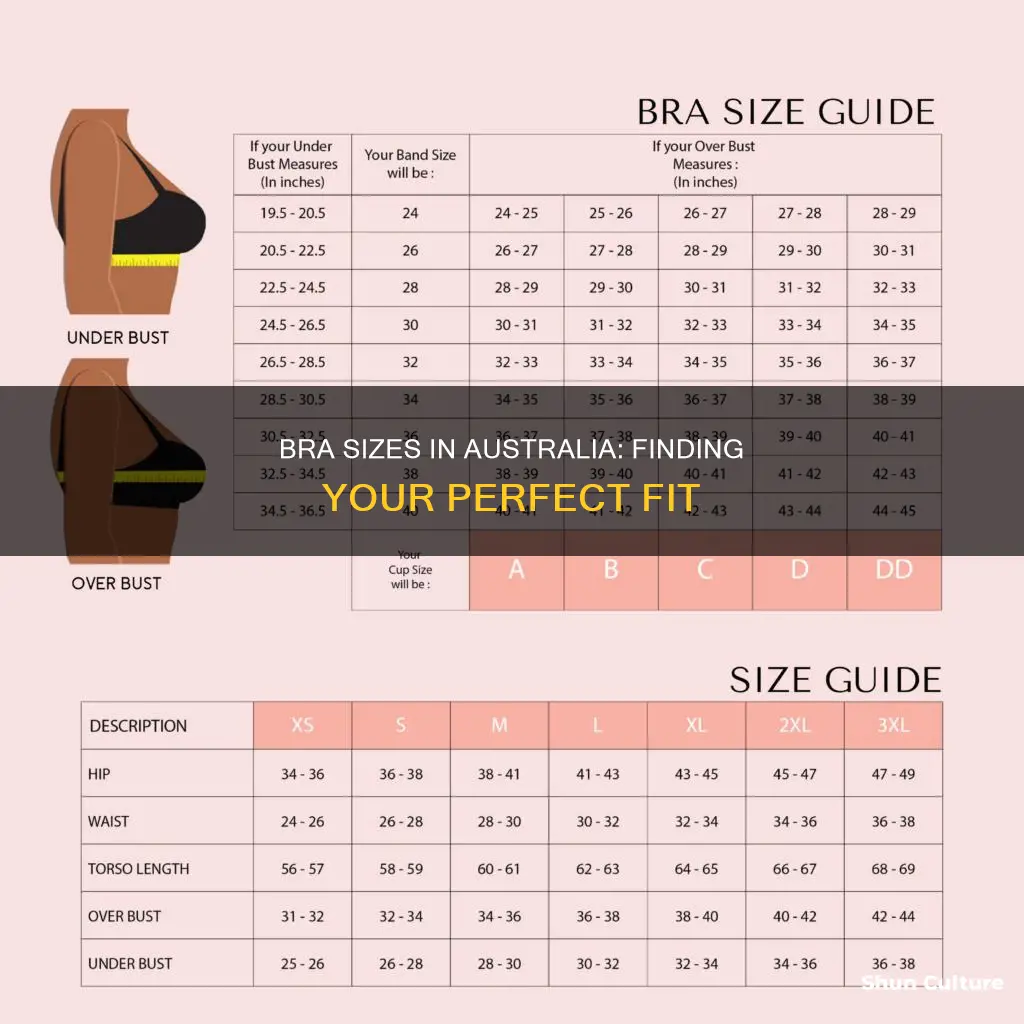 how to find bra size australia