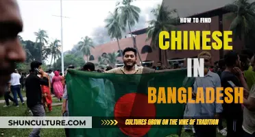 Discovering Chinese Communities and Culture in Bangladesh: A Comprehensive Guide
