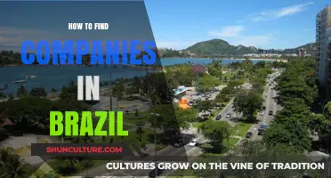 Discovering Brazilian Businesses: A Comprehensive Guide to Finding Companies in Brazil