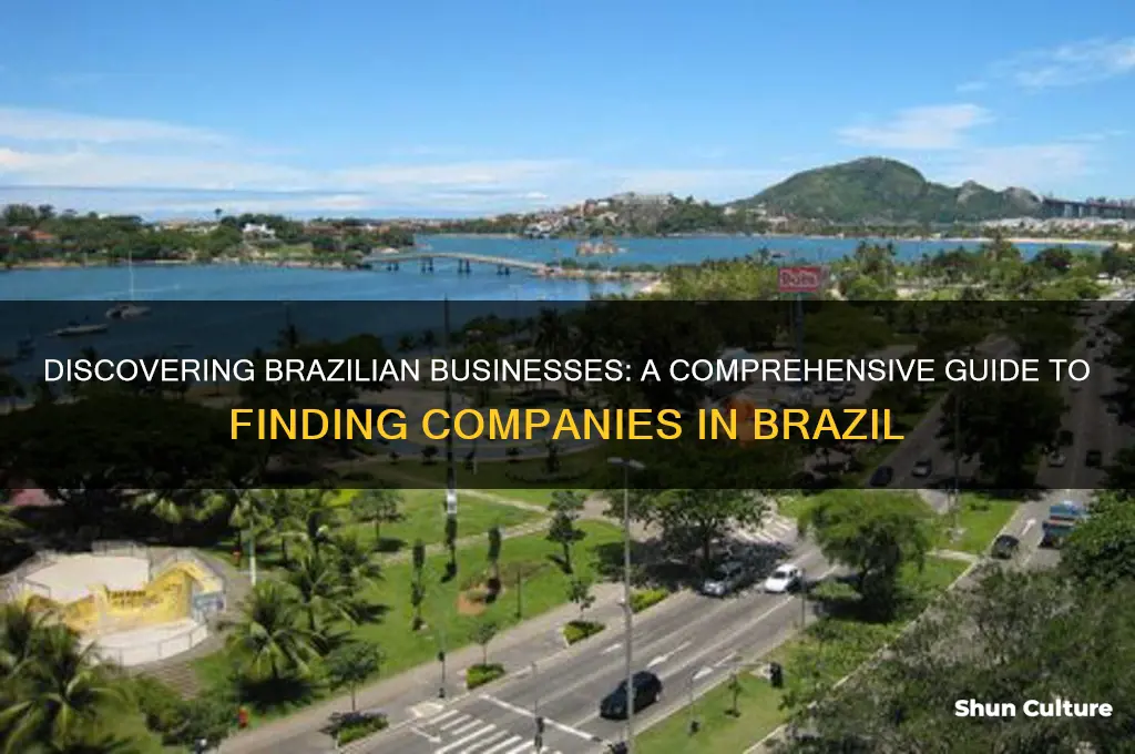 how to find companies in brazil