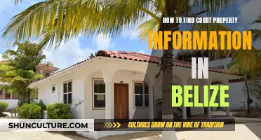 Belize Court Property: Accessing Information and Records