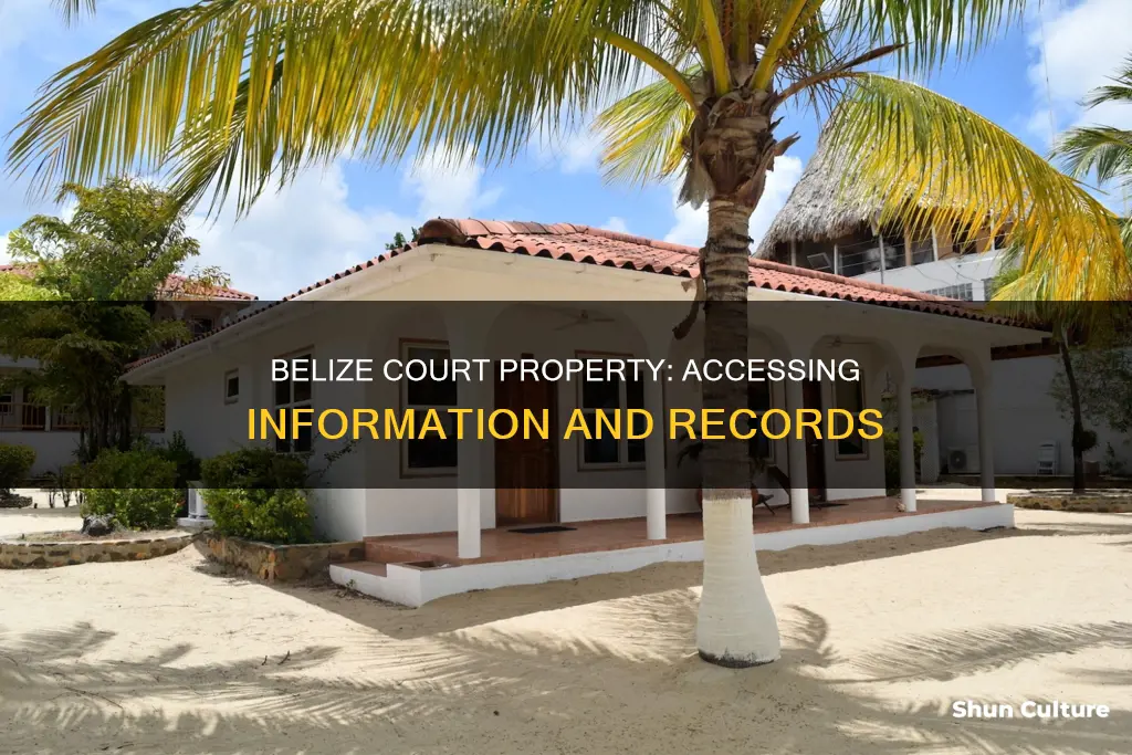 how to find court property information in belize