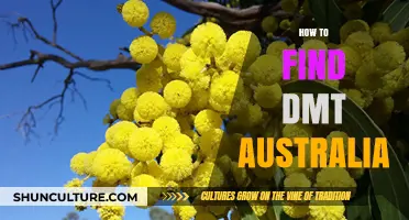 Exploring DMT: A Guide to Finding DMT in Australia