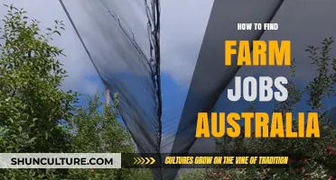 Finding Farm Jobs in Australia: Where to Look