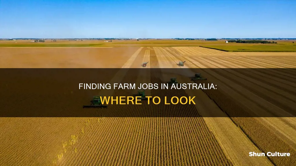 how to find farm jobs australia