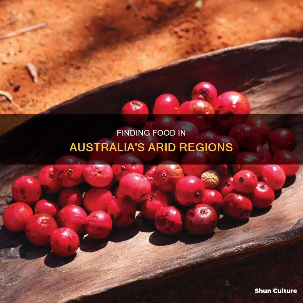 how to find food in the australian desert