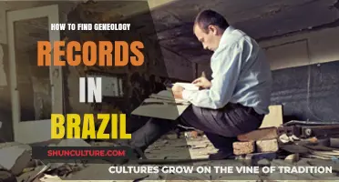 Discovering Brazilian Genealogy Records: A Comprehensive Guide for Family Historians