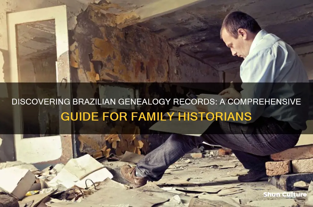 how to find geneology records in brazil