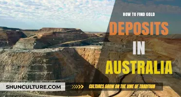 Discovering Gold Deposits in Australia: A Prospector's Guide