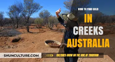 Gold Hunting in Australian Creeks: Tips and Tricks