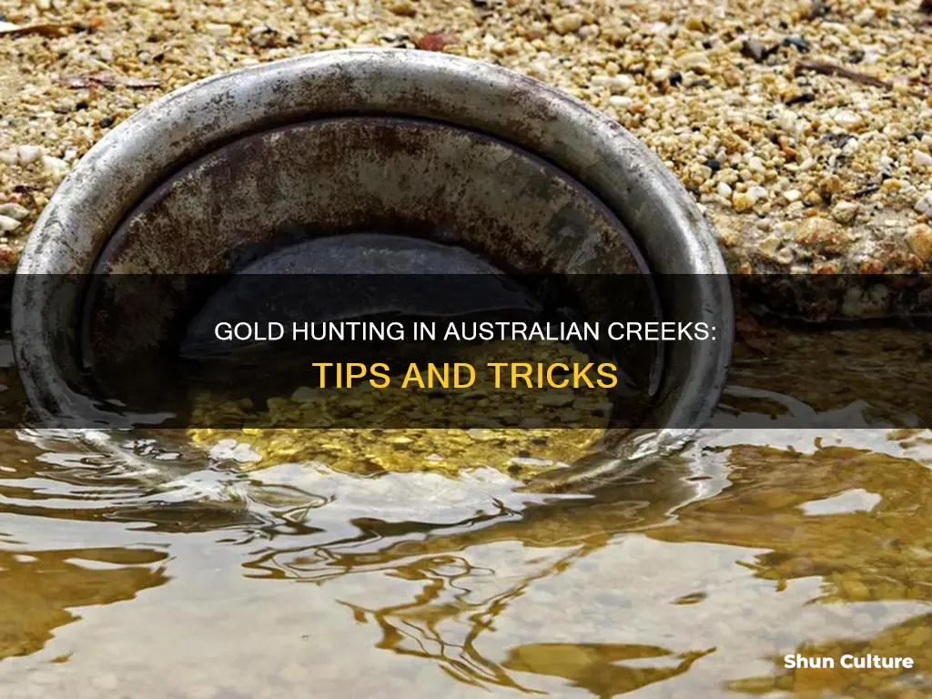 how to find gold in creeks australia