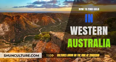 Discovering Gold in Western Australia: A Prospector's Guide