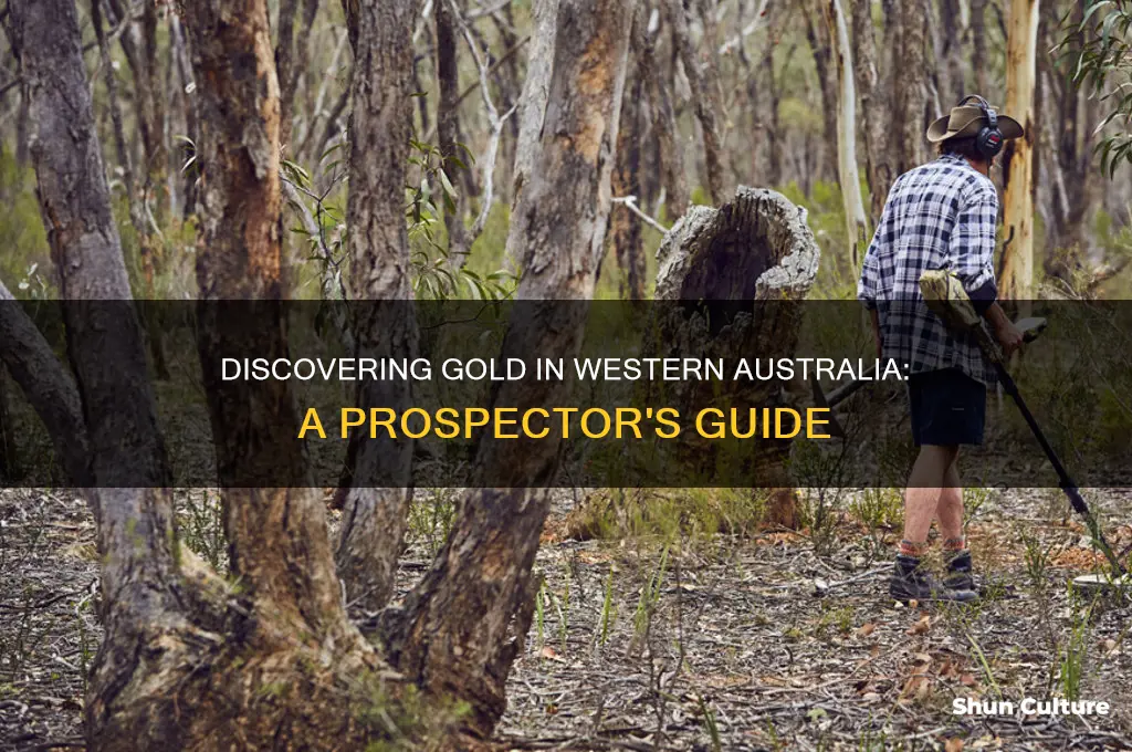 how to find gold in western australia