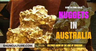 Finding Gold Nuggets in Australia: A Beginner's Guide