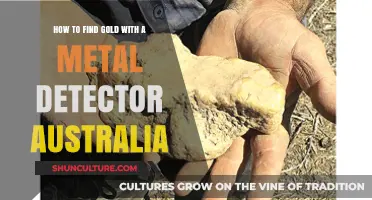 Uncover Gold Treasures with Metal Detecting in Australia