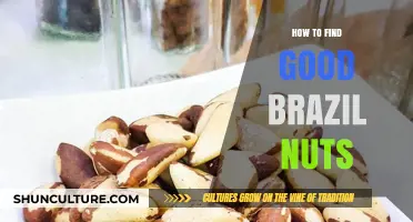 Discovering Quality Brazil Nuts: A Guide to Selecting the Best