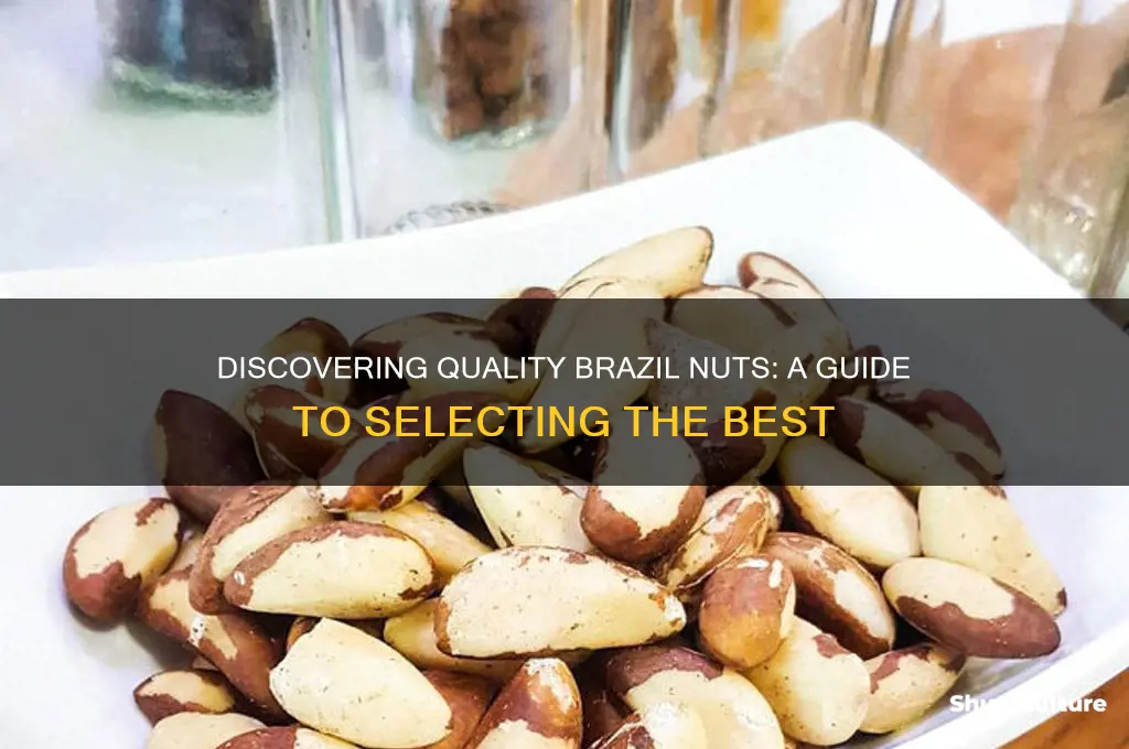 how to find good brazil nuts