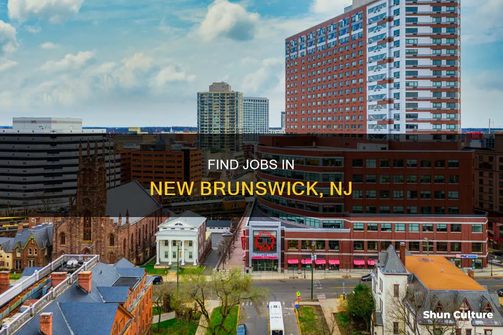 how to find jobs in new brunswick nj