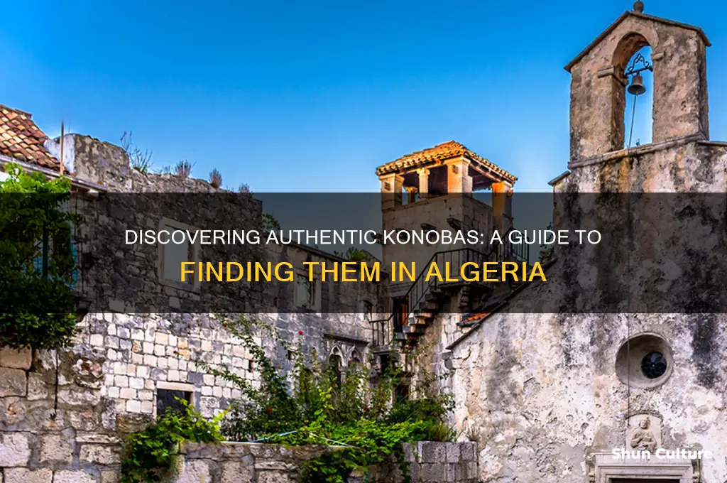 how to find konobas in algeria