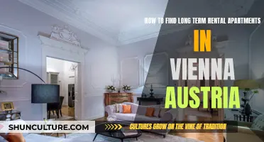 Unlocking Vienna's Rental Market: A Guide to Finding Your Long-Term Home