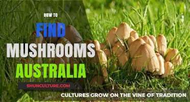 Finding Mushrooms in Australia: A Guide
