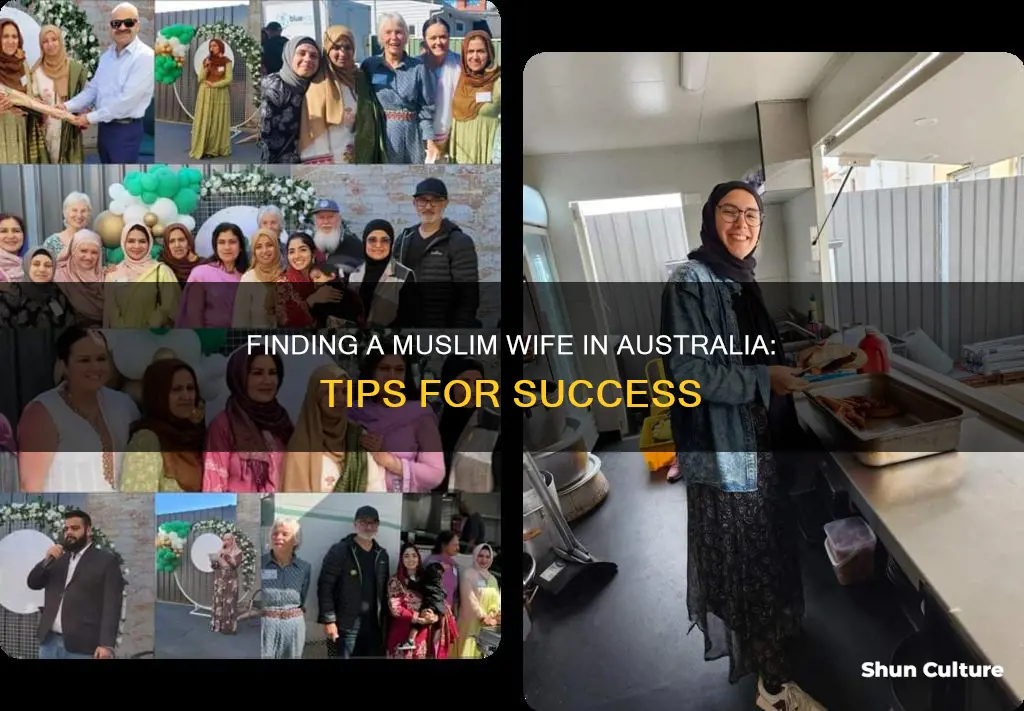 how to find muslim wife in australia