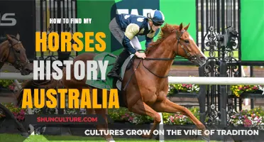 Uncover Your Horse's History in Australia