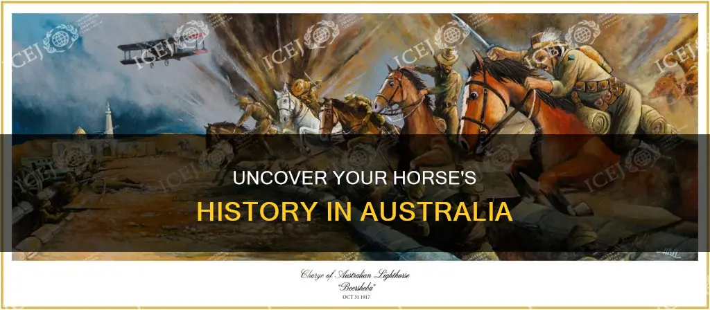how to find my horses history australia