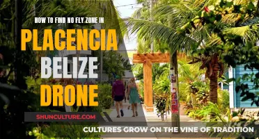 Drone Flying in Placencia, Belize: No-Fly Zones Explained