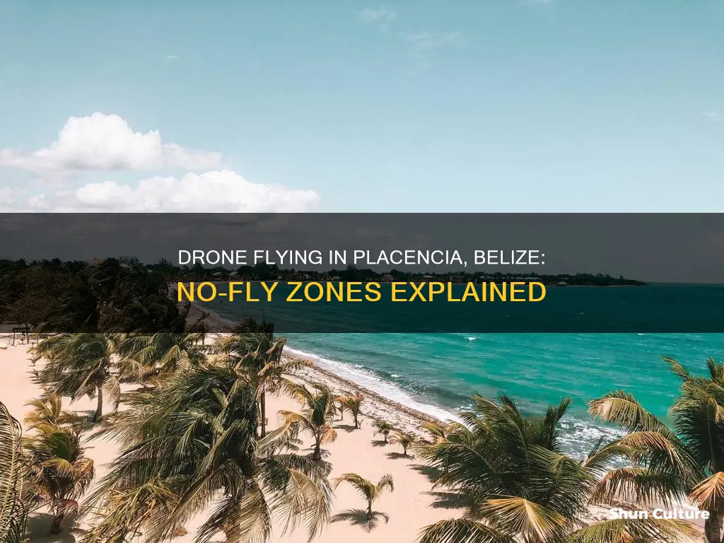 how to find no fly zone in placencia belize drone