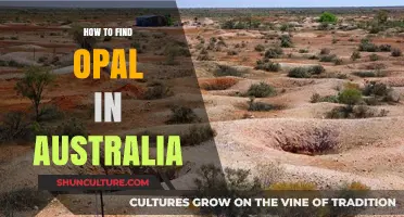 Unearthing Opals in Australia: A Beginner's Guide