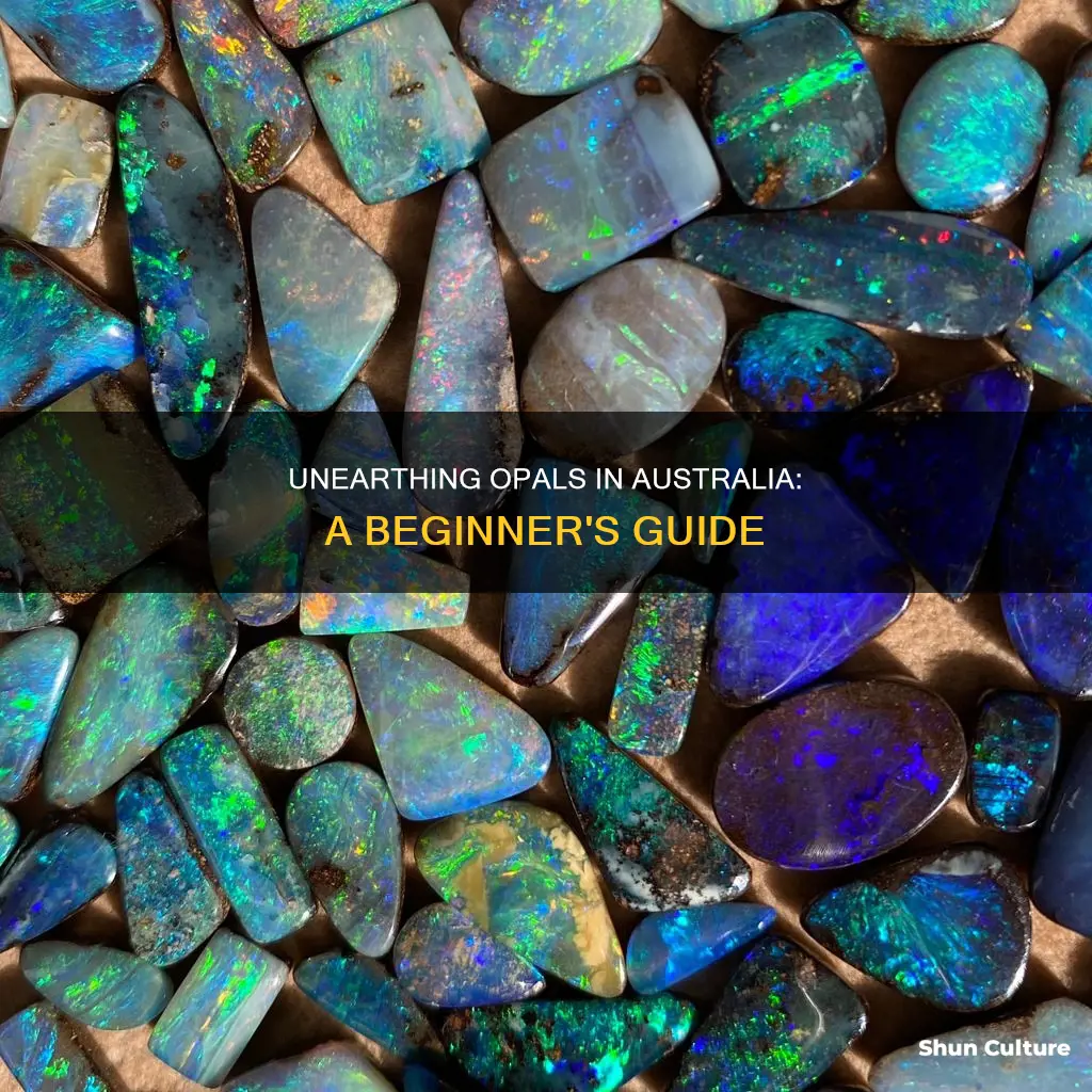 how to find opal in australia