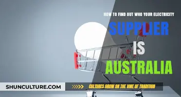 Who Supplies Your Electricity in Australia? Find Out Now