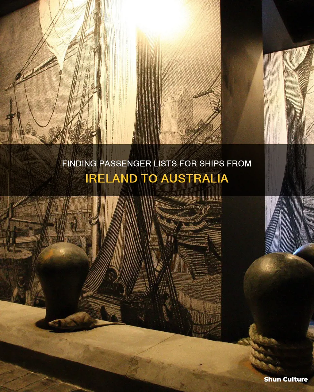 how to find passenger lists for ships ireland to australia