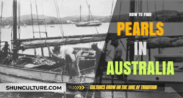 Discovering Australian Pearls: A Guide to Finding Them