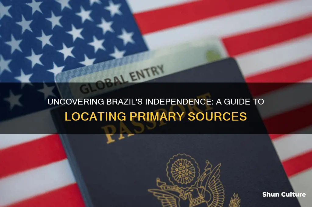 how to find primary source for brazil independence