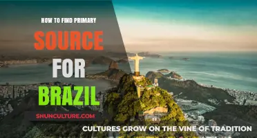 Discovering Brazil's History: A Guide to Locating Primary Sources