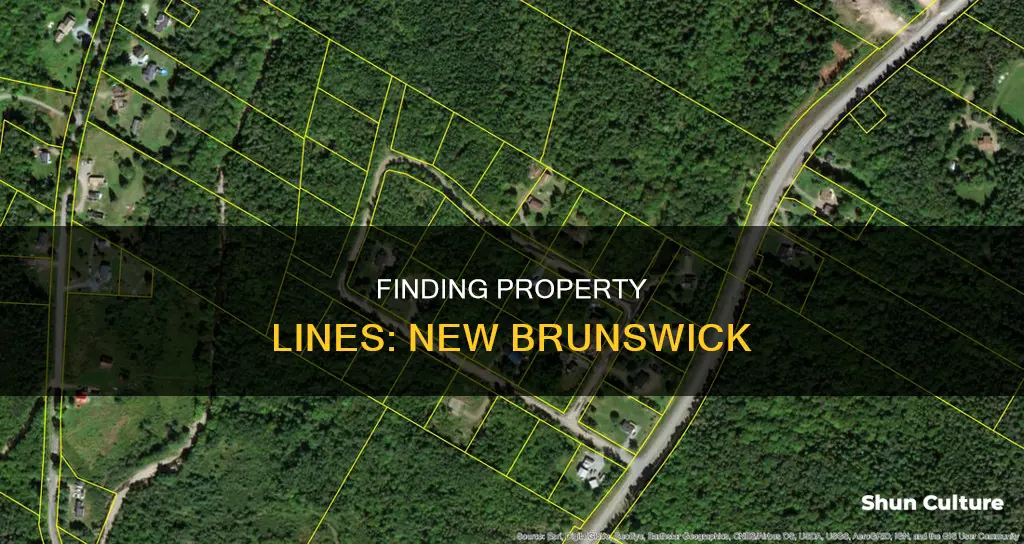 how to find property lines in new brunswick