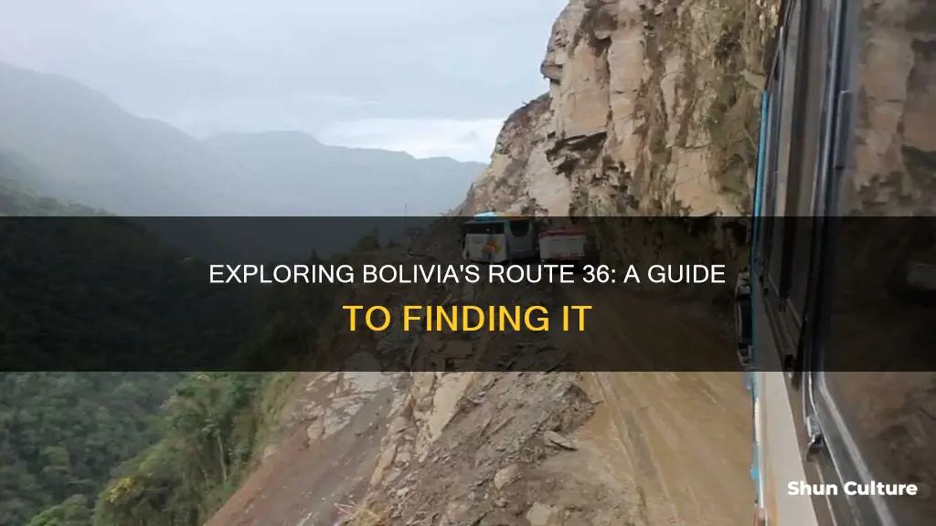 how to find route 36 bolivia