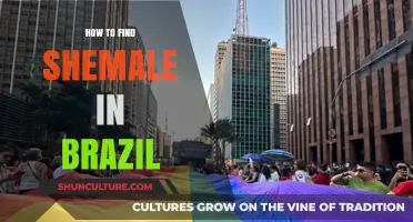 Discovering Transgender Communities: A Guide to Brazil's Inclusive Scene
