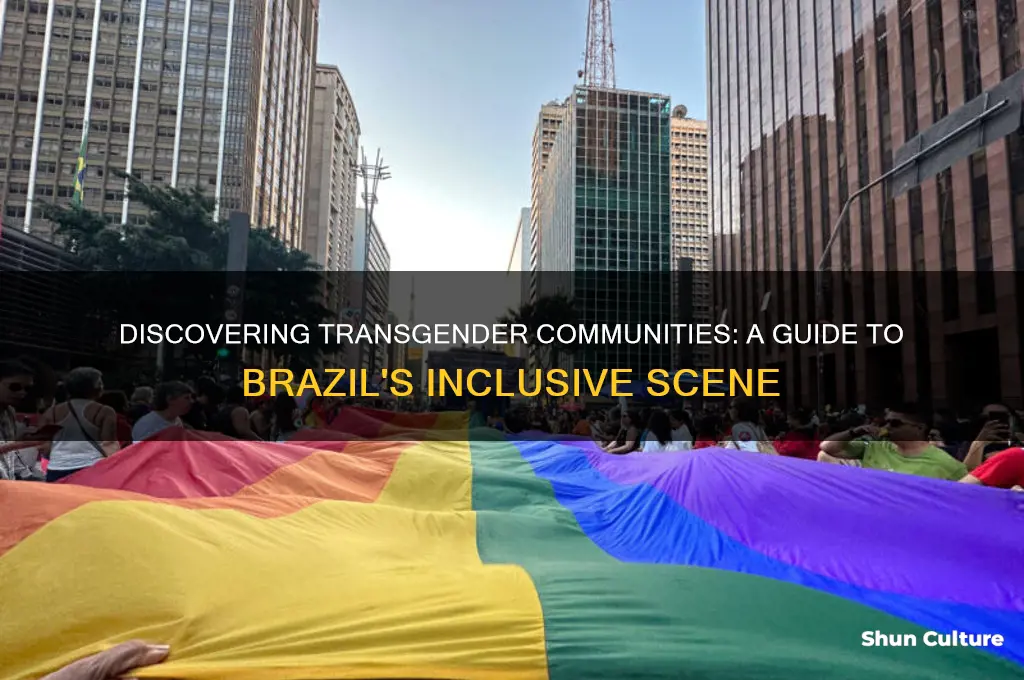 how to find shemale in brazil
