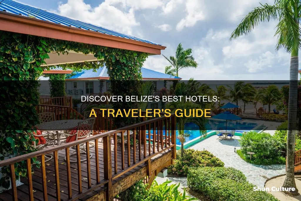 how to find the best hotels in belize