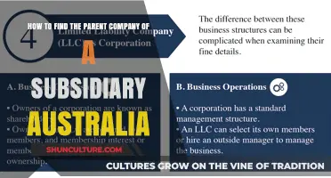 Finding Parent Companies: A Guide for Australian Subsidiaries