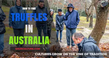 Unearthing Truffles in Australia: A Guide to Foraging