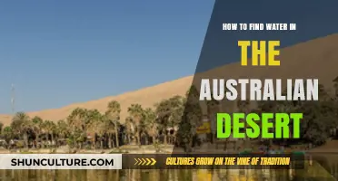 Finding Water: Survival in Australia's Desert Regions