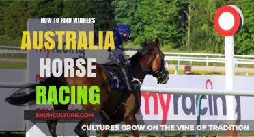 Horse Racing Winners: Strategies for Success in Australia